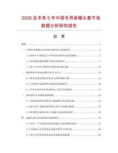2026及未來5年中國冬用保暖頭套市場數據分析研究報告