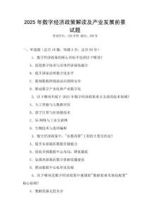 2025年數字經濟政策解讀及產業發展前景試題