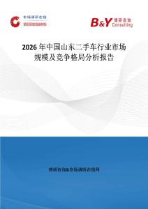 2026年中國山東二手車行業(yè)市場規(guī)模及競爭格局分析報告