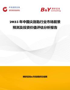 2025年中国尖刮匙行业市场前景预测及投资价值评估分析报告