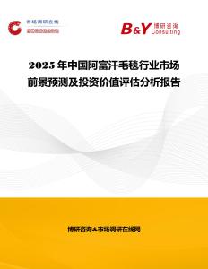 2025年中國阿富汗毛毯行業市場前景預測及投資價值評估分析報告