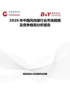 2026年中國風向袋行業市場規模及競爭格局分析報告