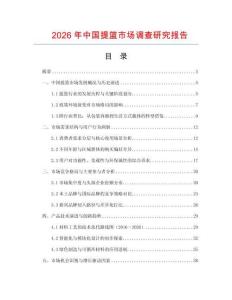 2026年中國提籃市場調查研究報告