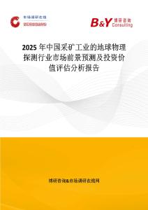 2025年中国采矿工业的地球物理探测行业市场前景预测及投资价值评估分析报告