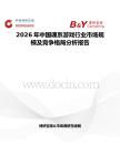2026年中國魂系游戲行業市場規模及競爭格局分析報告
