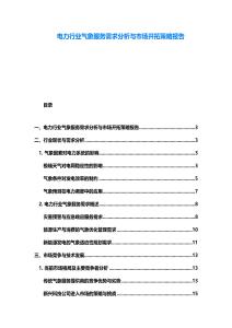 電力行業(yè)氣象服務(wù)需求分析與市場開拓策略報告
