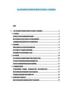 動力電池梯次利用技術規范與市場準入標準報告