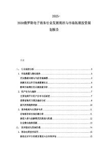 2025-2030俄羅斯電子商務行業發展現狀與市場拓展投資規劃報告