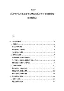 2025-2030電子支付數據隱私安全需求保護競爭格局前景規劃分析報告