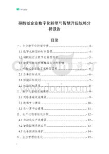 硝酸鋱企業(yè)數(shù)字化轉(zhuǎn)型與智慧升級(jí)戰(zhàn)略分析報(bào)告