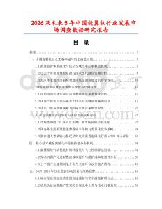 2026及未來5年中國旋翼機行業發展市場調查數據研究報告