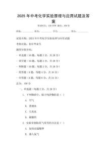 2025年中考化學實驗原理與應用試題及答案