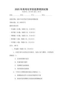 2025年高考化学实验原理测试卷