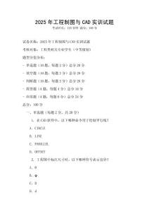 2025年工程制圖與CAD實訓試題