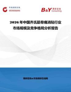 2026年中国齐氏筋骨痛消贴行业市场规模及竞争格局分析报告