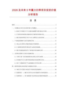 2026及未來5年魔力掃帚項目投資價值分析報告