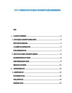 2025中国城市空中交通动力系统噪声治理法规前瞻报告