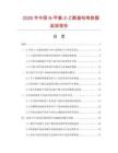2026年中國N-甲基-2-乙?；量祿O測報告