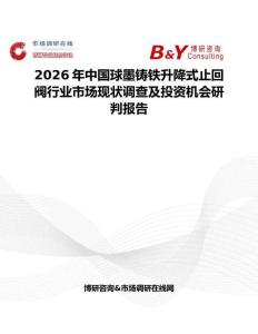 2026年中國球墨鑄鐵升降式止回閥行業(yè)市場現(xiàn)狀調(diào)查及投資機(jī)會(huì)研判報(bào)告