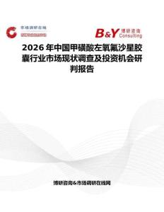 2026年中國甲磺酸左氧氟沙星膠囊行業(yè)市場現(xiàn)狀調(diào)查及投資機會研判報告