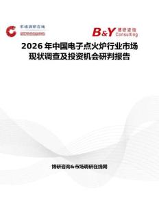 2026年中國電子點火爐行業市場現狀調查及投資機會研判報告