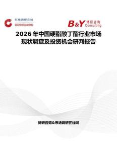 2026年中國硬脂酸丁酯行業市場現狀調查及投資機會研判報告