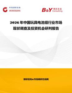 2026年中国玩具电池组行业市场现状调查及投资机会研判报告