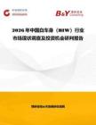 2026年中國白車身（BIW）行業市場現狀調查及投資機會研判報告