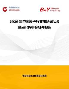 2026年中國皮子行業市場現狀調查及投資機會研判報告
