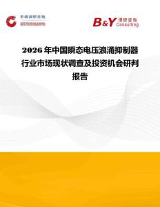 2026年中國瞬態電壓浪涌抑制器行業市場現狀調查及投資機會研判報告
