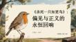 《杀死一只知更鸟》：偏见与正义的永恒回响