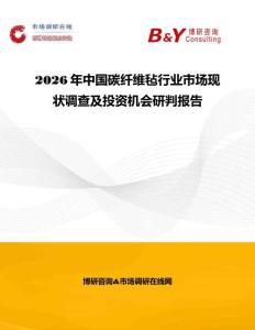 2026年中國碳纖維氈行業市場現狀調查及投資機會研判報告