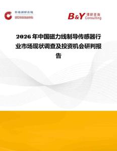 2026年中國磁力線制導傳感器行業市場現狀調查及投資機會研判報告
