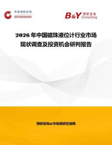 2026年中國磁珠液位計行業市場現狀調查及投資機會研判報告