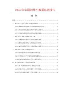 2025年中國(guó)剁斧石數(shù)據(jù)監(jiān)測(cè)報(bào)告