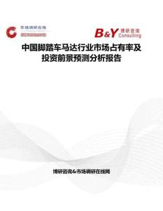 中國腳踏車馬達行業市場占有率及投資前景預測分析報告