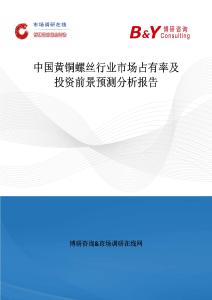 中國黃銅螺絲行業(yè)市場占有率及投資前景預(yù)測分析報告