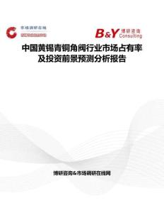 中國黃錫青銅角閥行業市場占有率及投資前景預測分析報告