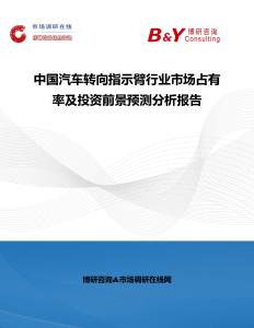 中國汽車轉(zhuǎn)向指示臂行業(yè)市場占有率及投資前景預(yù)測分析報(bào)告