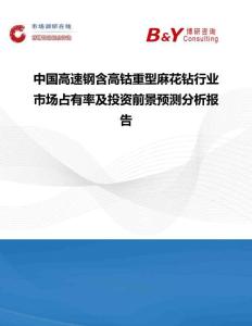 中國高速鋼含高鈷重型麻花鉆行業(yè)市場占有率及投資前景預(yù)測分析報(bào)告