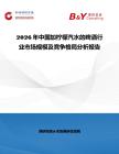 2026年中國加檸檬汽水的啤酒行業市場規模及競爭格局分析報告
