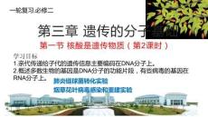 高中生物精品課件：第三章 遺傳的分子基礎(chǔ)第一節(jié)（2）