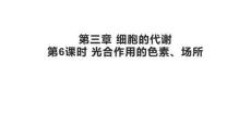 高中生物精品課件：光合作用的色素、場所（復(fù)習(xí)）