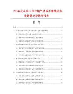 2026及未來5年中國氣動扳手套筒組市場數(shù)據(jù)分析研究報告