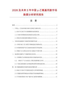 2026及未來(lái)5年中國(guó)γ-乙氧基丙胺市場(chǎng)數(shù)據(jù)分析研究報(bào)告