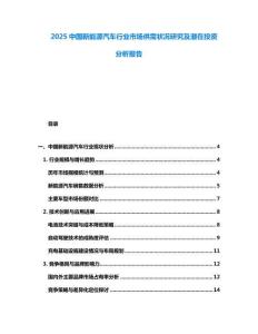 2025中國新能源汽車行業(yè)市場供需狀況研究及潛在投資分析報告