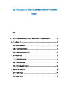連山有色金屬行業市場環境評估及資源保障與產業升級研究報告