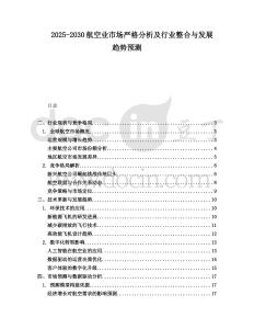 2025-2030航空業市場嚴格分析及行業整合與發展趨勢預測