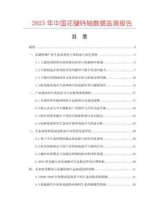 2025年中國(guó)花鍵轉(zhuǎn)軸數(shù)據(jù)監(jiān)測(cè)報(bào)告