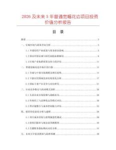 2026及未來5年普通寬幅花邊項目投資價值分析報告